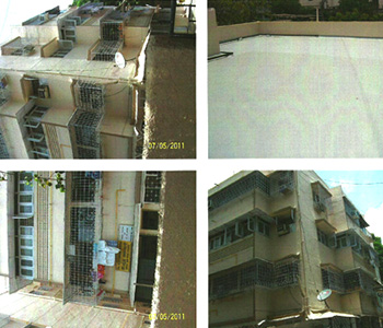 Waterproofing Contractors in Navi Mumbai